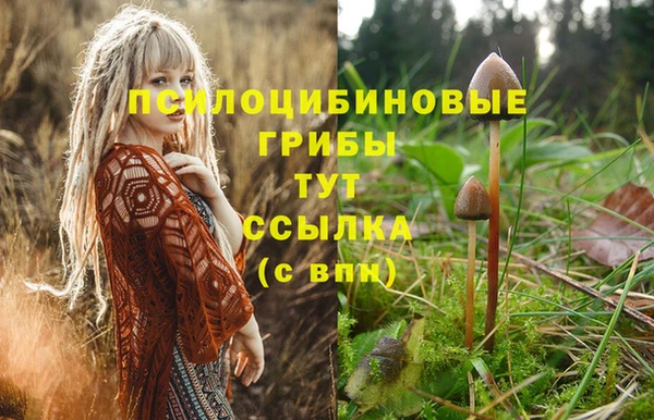 таблы Ладушкин