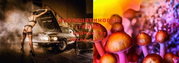 apvp Краснослободск